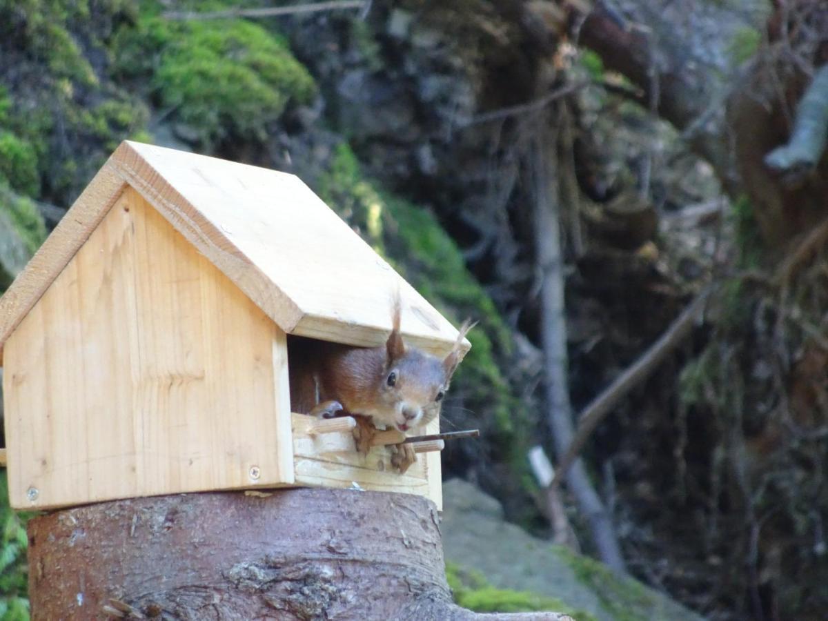 Appartamento Waldurlaub Klingelborn Im Sauerland Balve Esterno foto